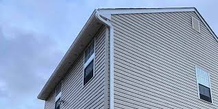 Best Siding Painting and Refinishing  in Sandy Oaks, TX